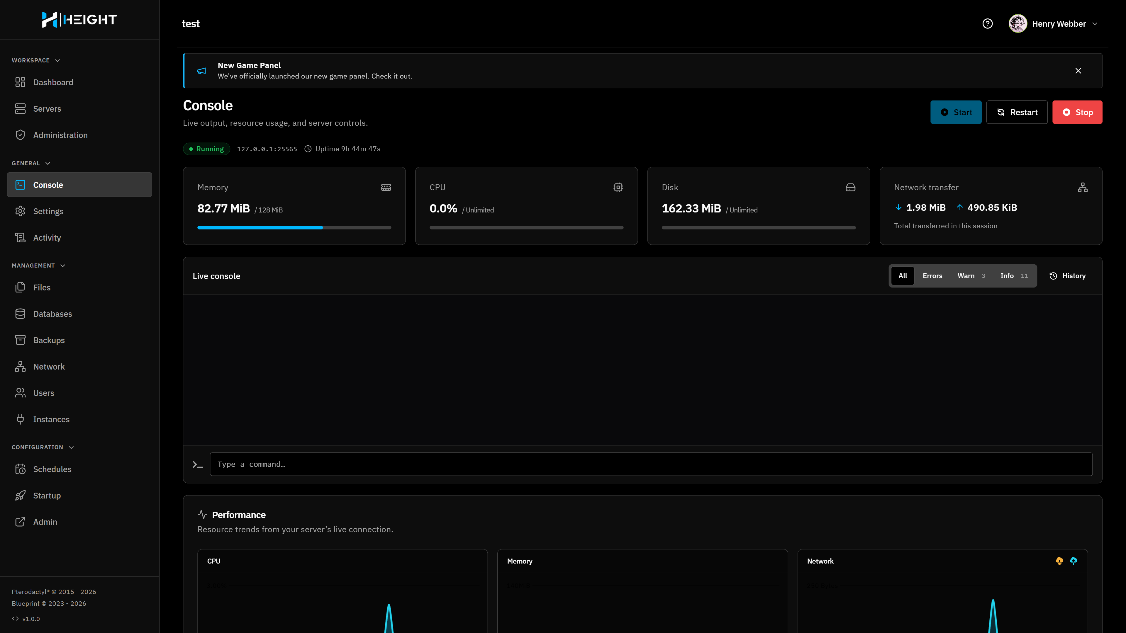 The live server console in the hosting panel